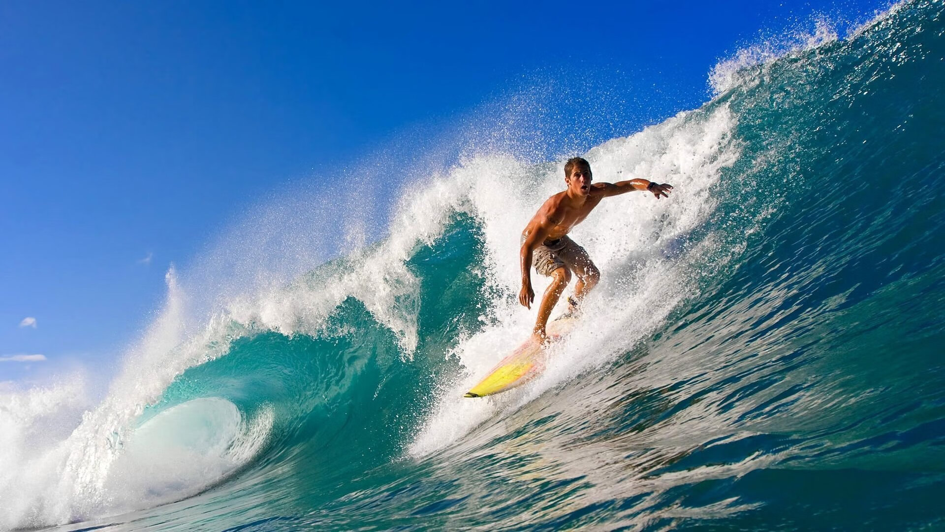 当鹈鹕爆冷撕裂篮网，文班亚马已在另一战场加冕新王